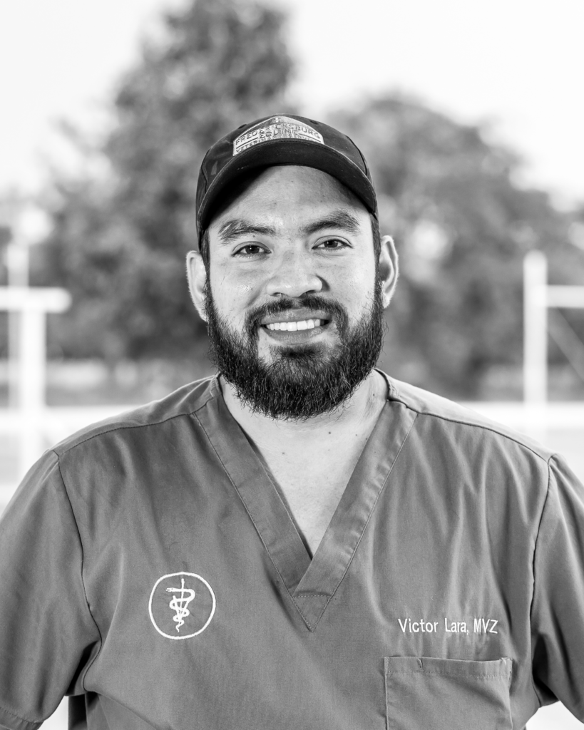 Victor Lara, MVZ - Intern Veterinarian